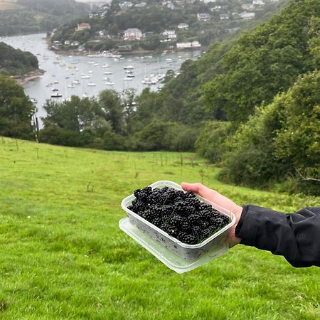 Pilchards Cottage Noss Mayo Dış mekan fotoğraf
