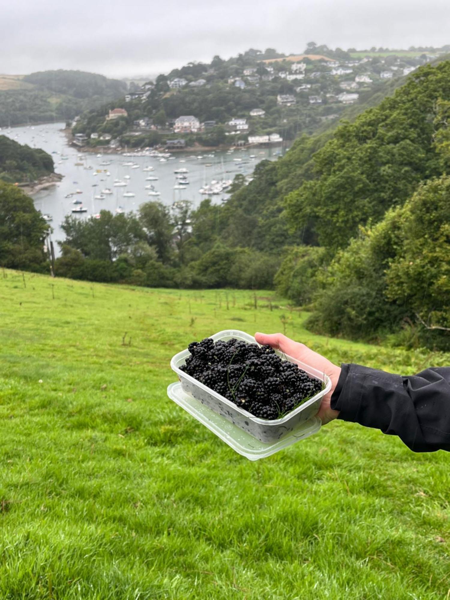 Pilchards Cottage Noss Mayo Dış mekan fotoğraf
